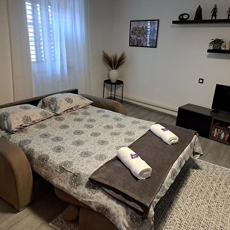 Apartman Darija パジン エクステリア 写真