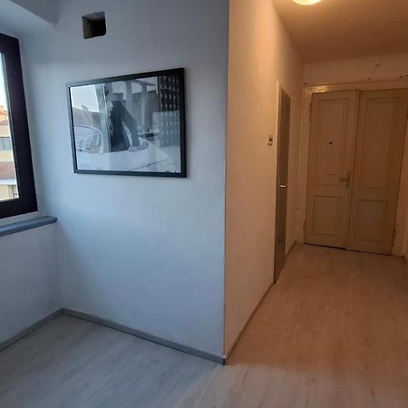 Apartman Darija パジン エクステリア 写真
