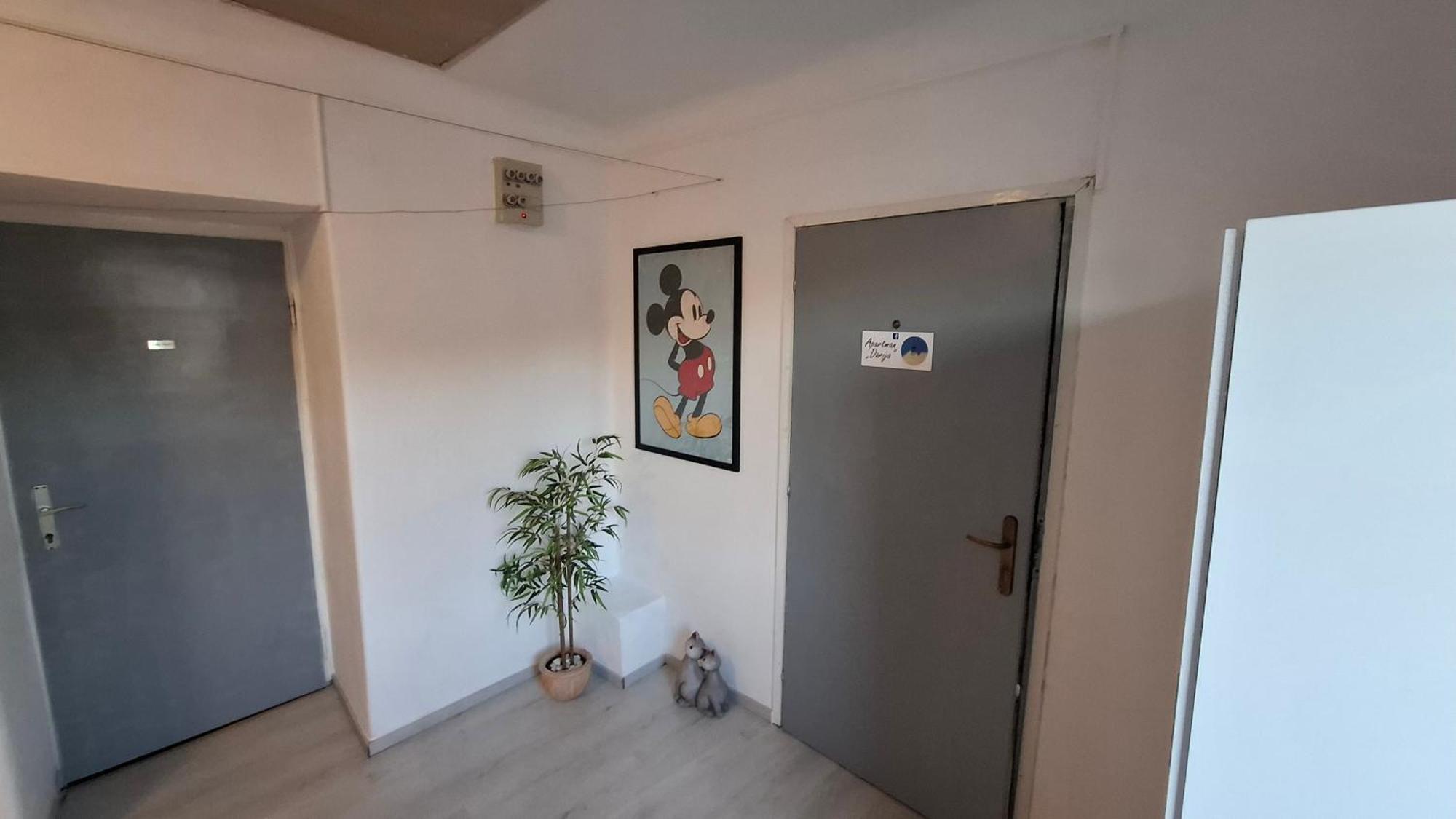 Apartman Darija パジン エクステリア 写真