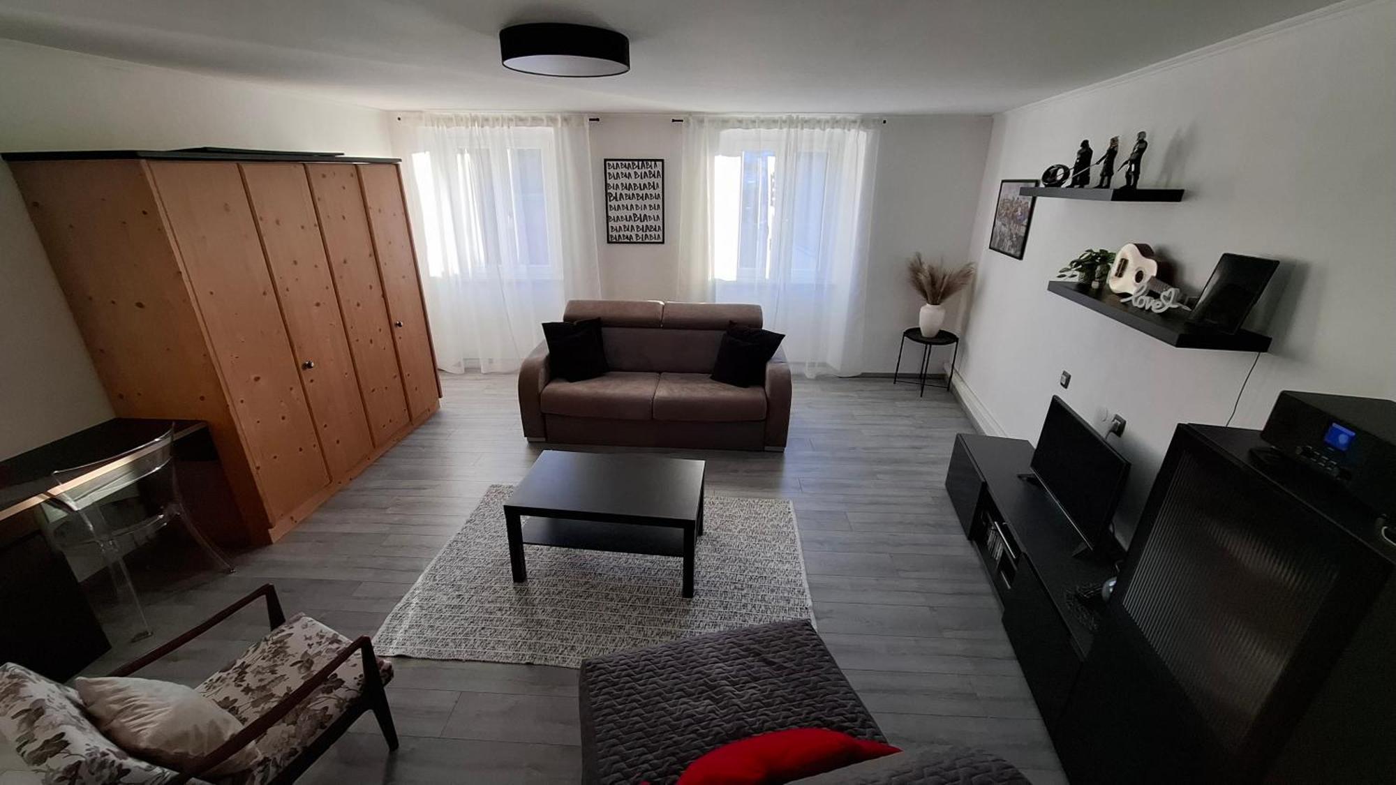Apartman Darija パジン エクステリア 写真
