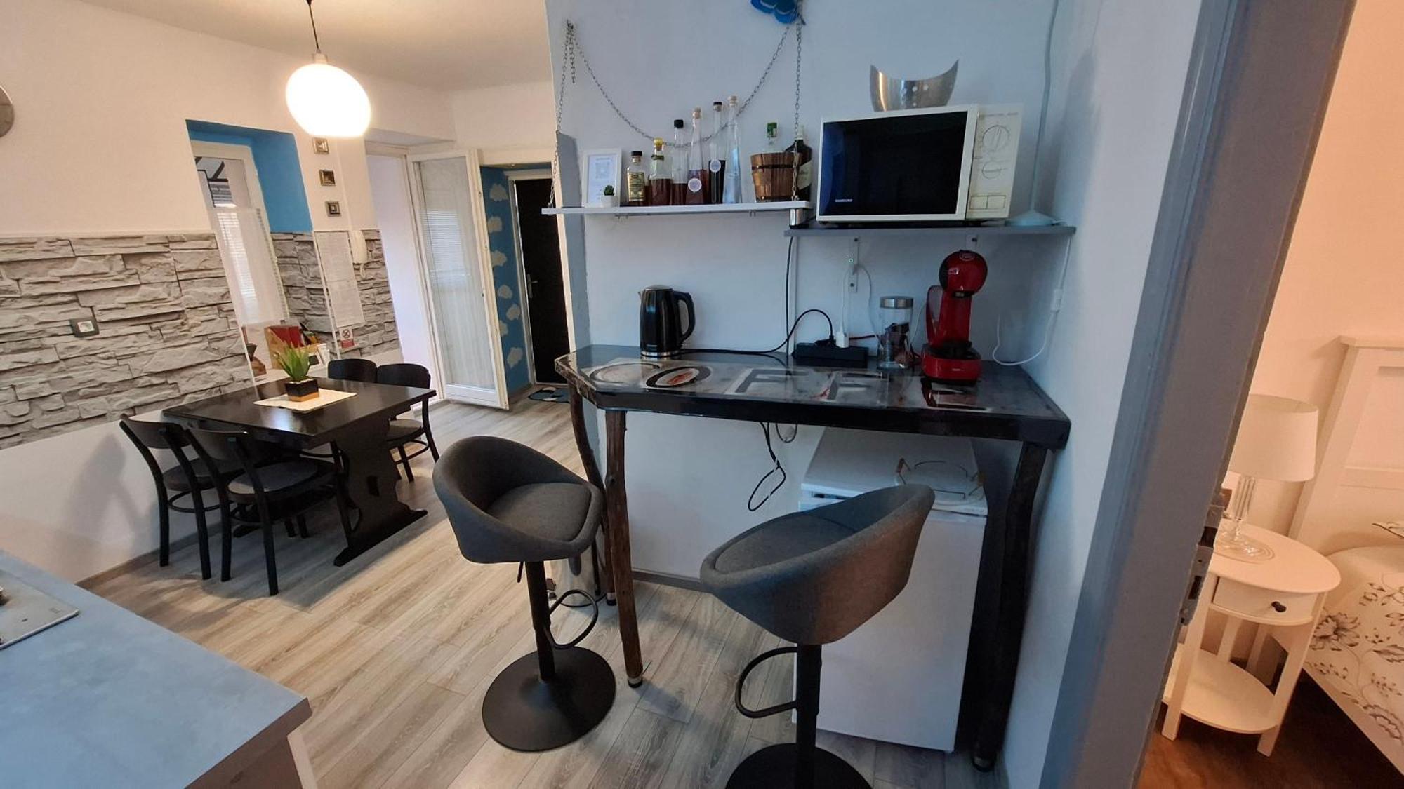 Apartman Darija パジン エクステリア 写真