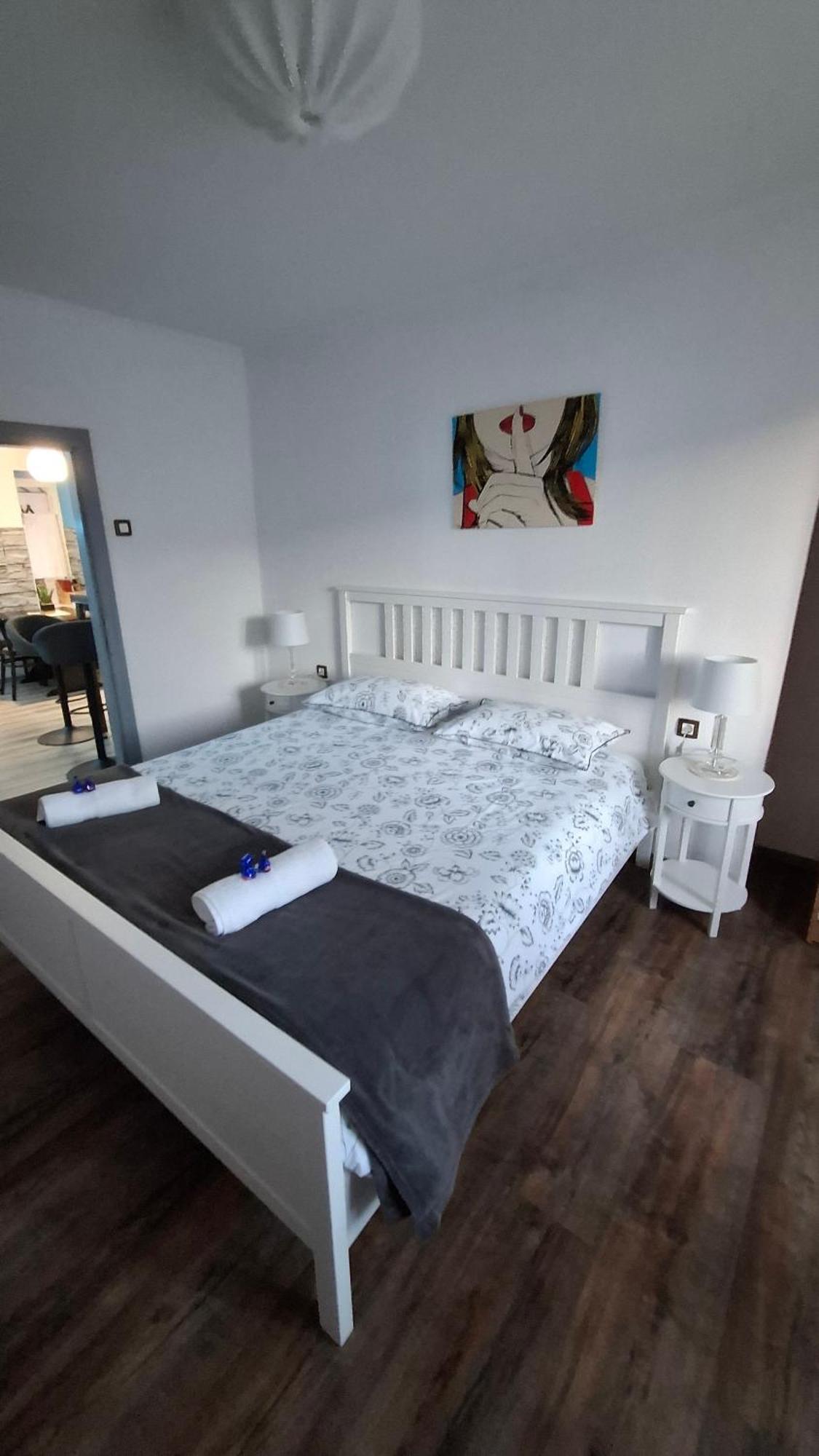 Apartman Darija パジン エクステリア 写真