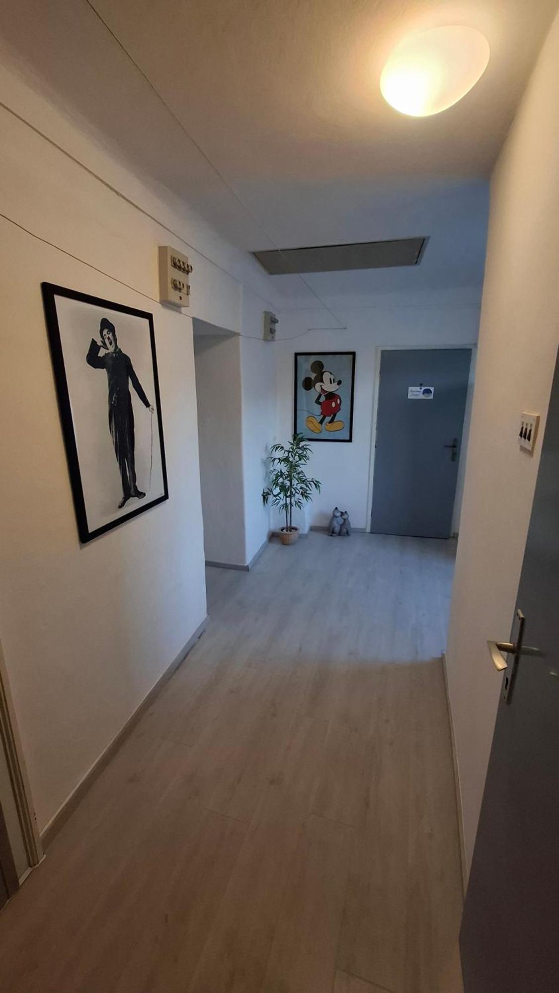 Apartman Darija パジン エクステリア 写真
