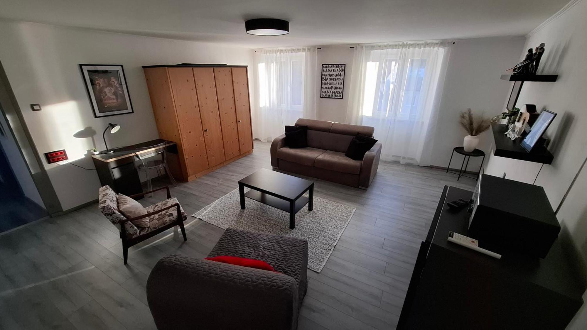 Apartman Darija パジン エクステリア 写真