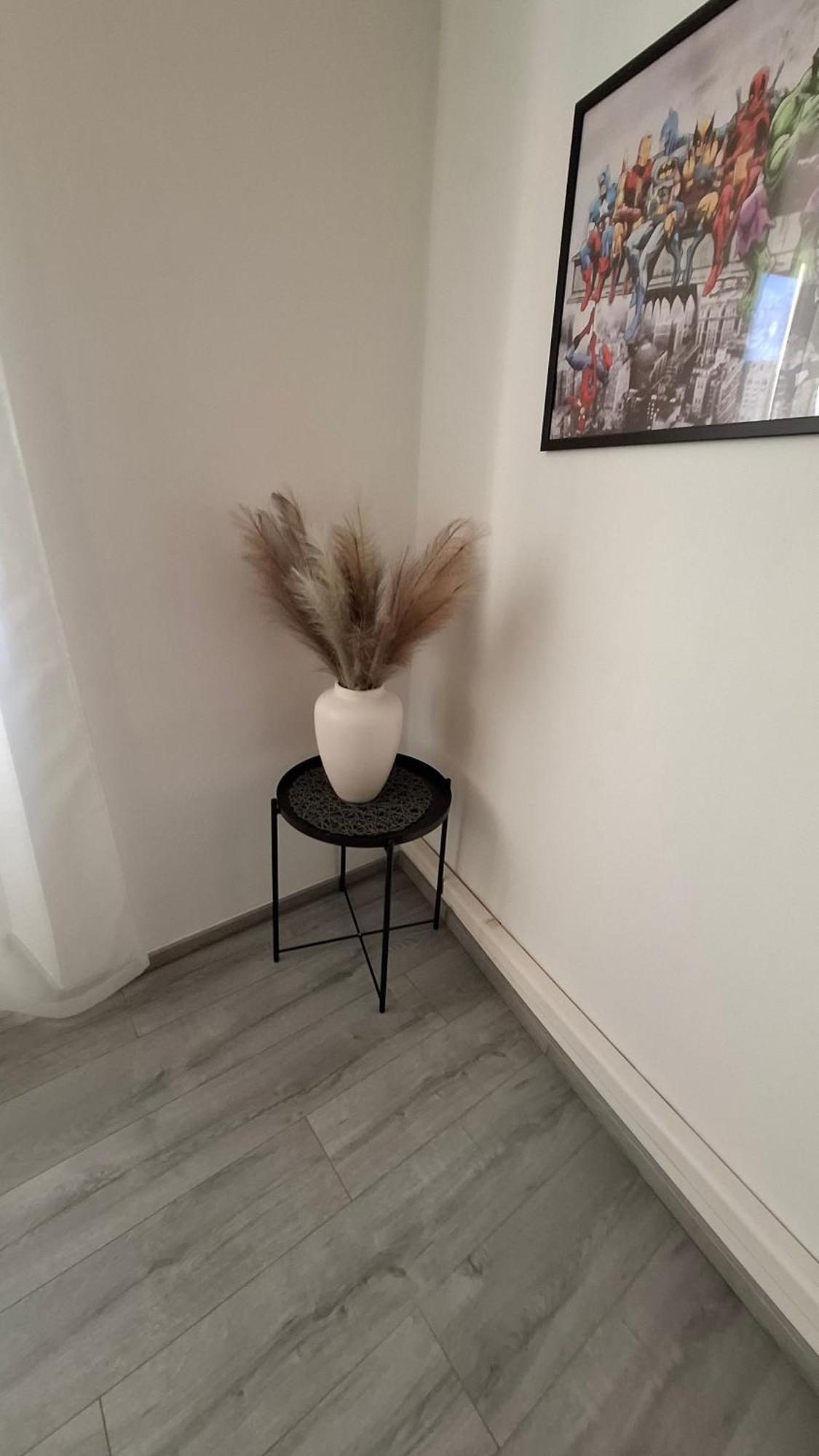 Apartman Darija パジン エクステリア 写真