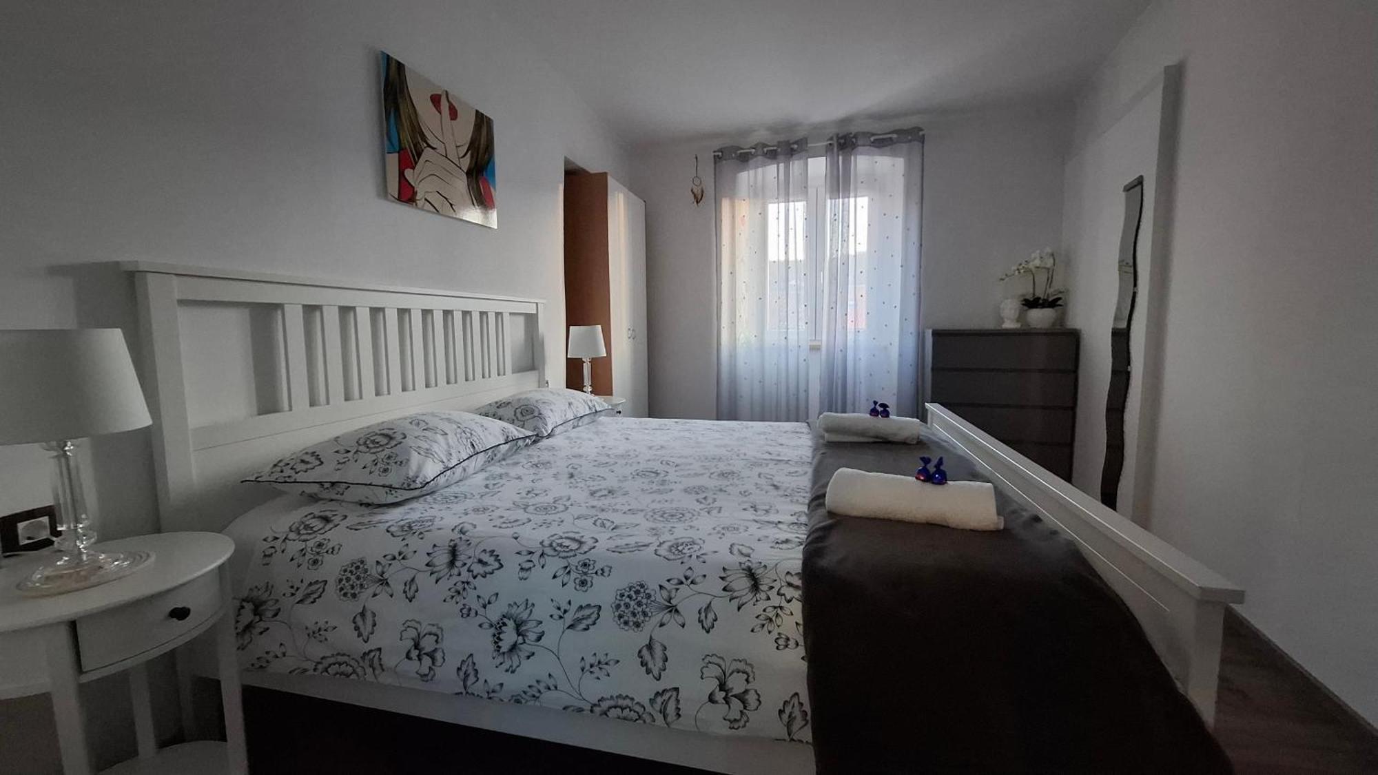 Apartman Darija パジン エクステリア 写真